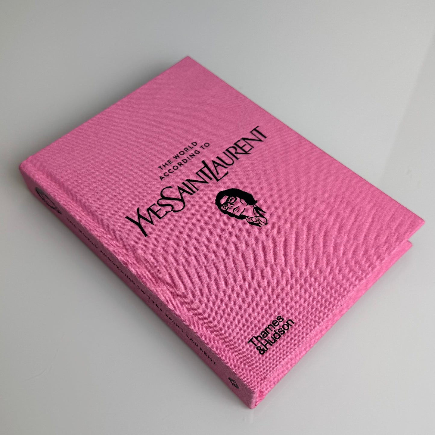 Livro "The World according to Yves Saint Laurent" - Modern Mood