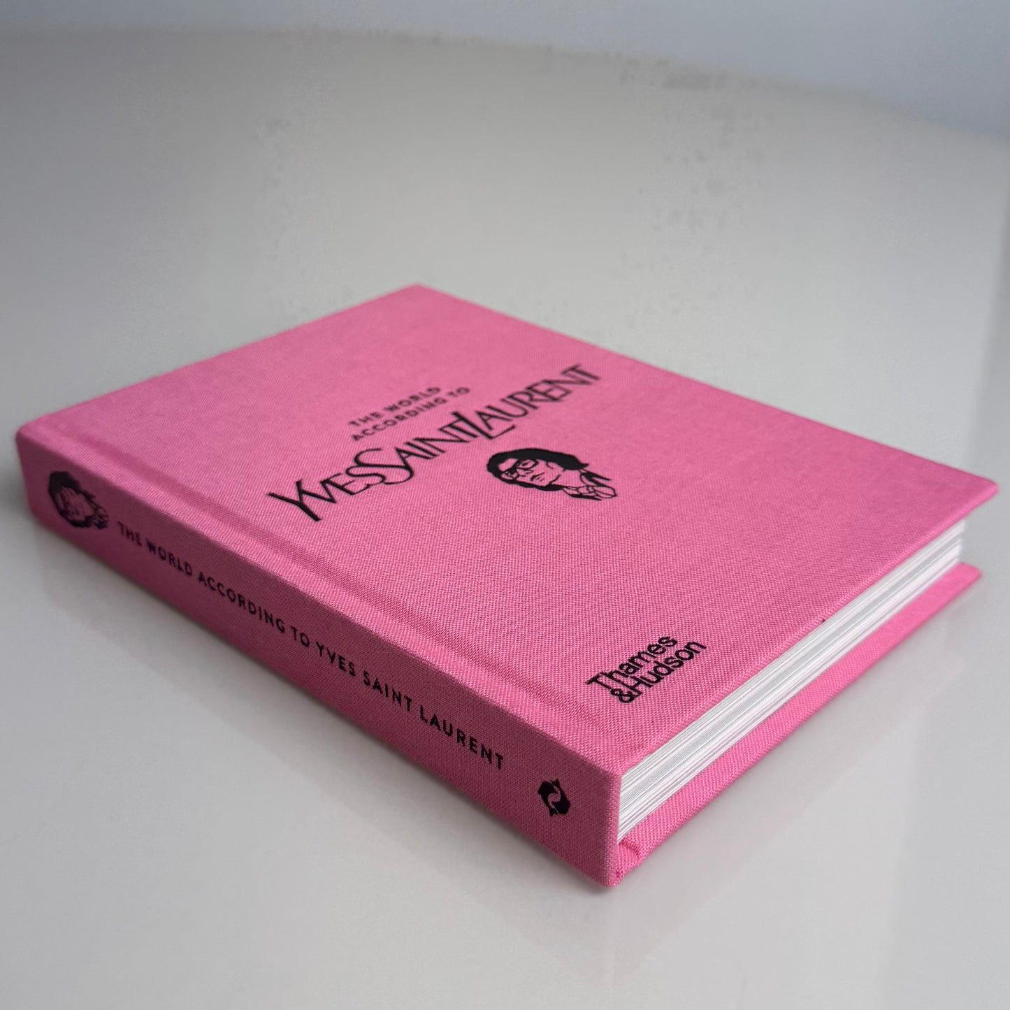 Livro "The World according to Yves Saint Laurent" - Modern Mood