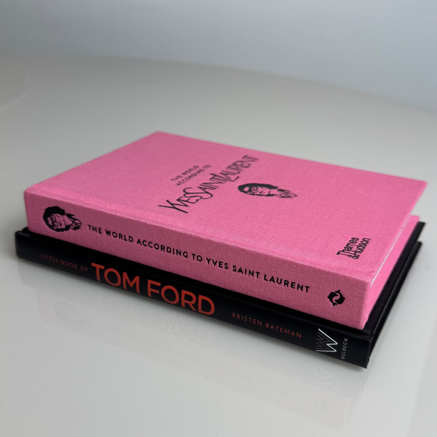 Livro "The World according to Yves Saint Laurent" - Modern Mood