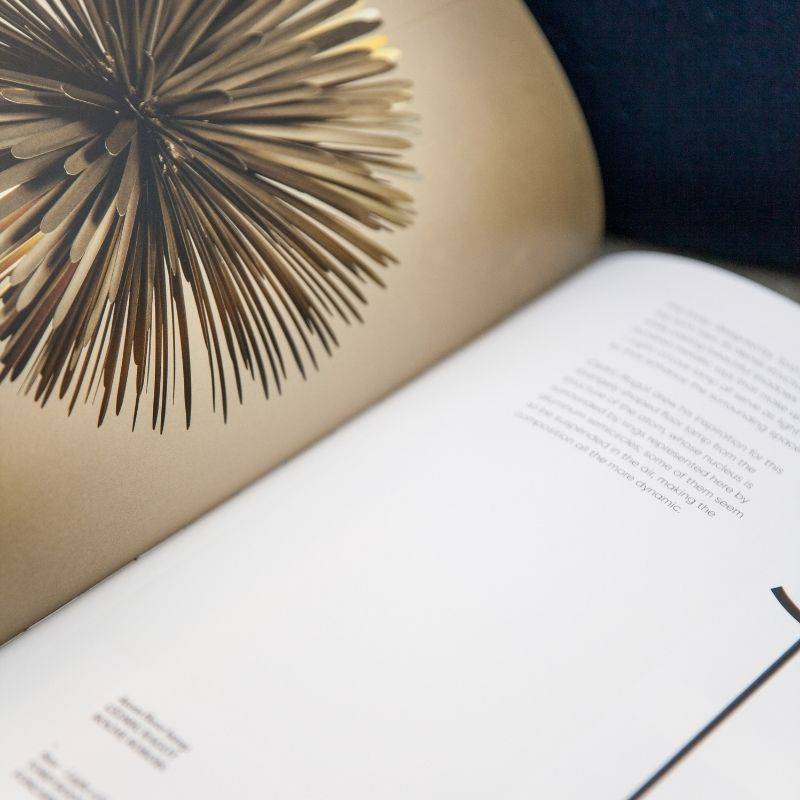 Livro Sculpting Light Teneues - imagem 8