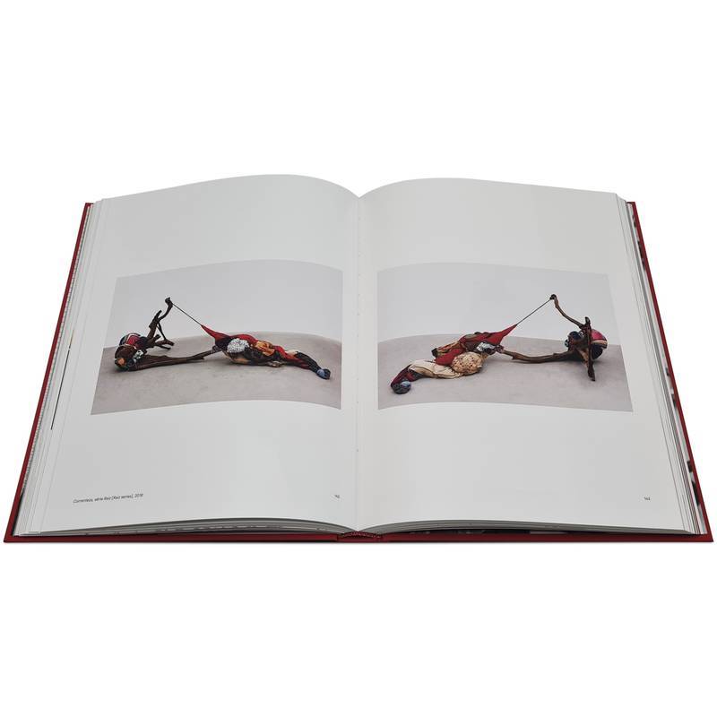 Livro Sonia Gomes Cobogo - imagem 5