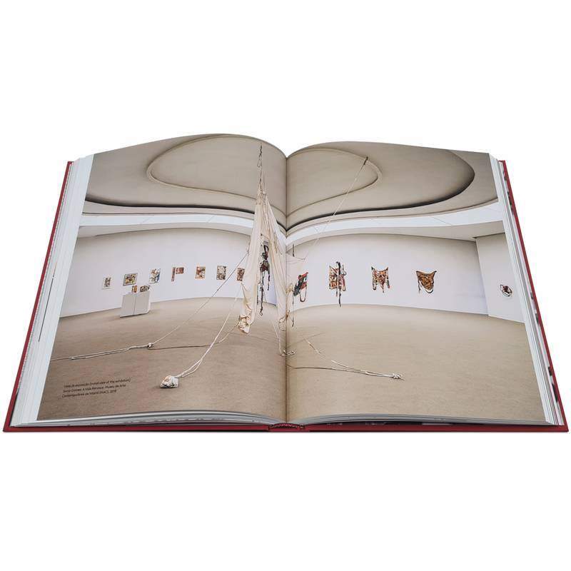 Livro Sonia Gomes Cobogo - imagem 6