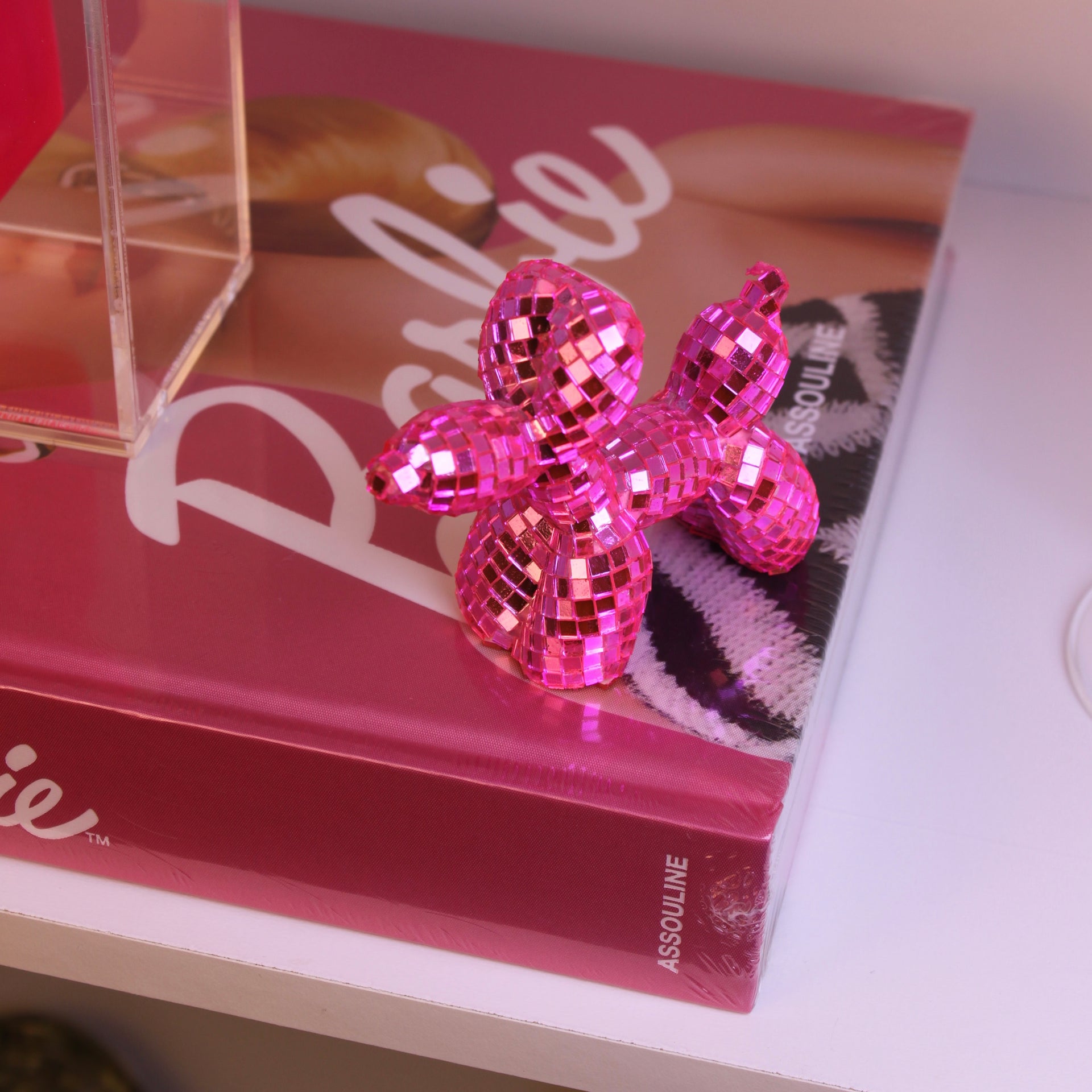Disco Moodie - Balloon Dog Espelhado