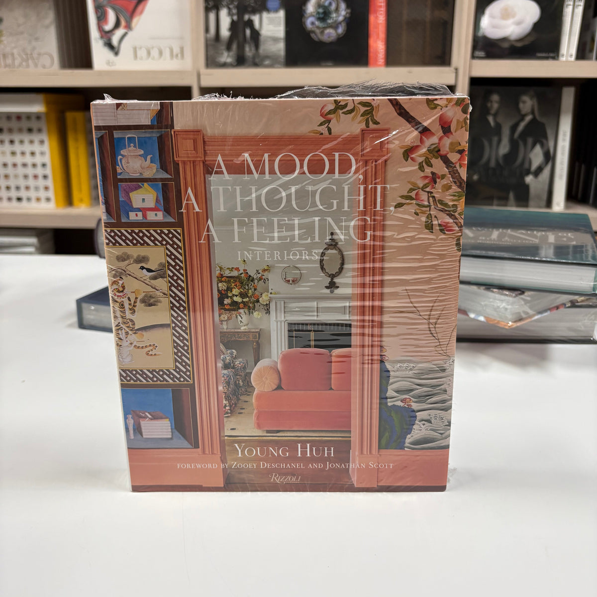 Livro A Mood, a Thought, a Feeling Rizzoli — imagem 1