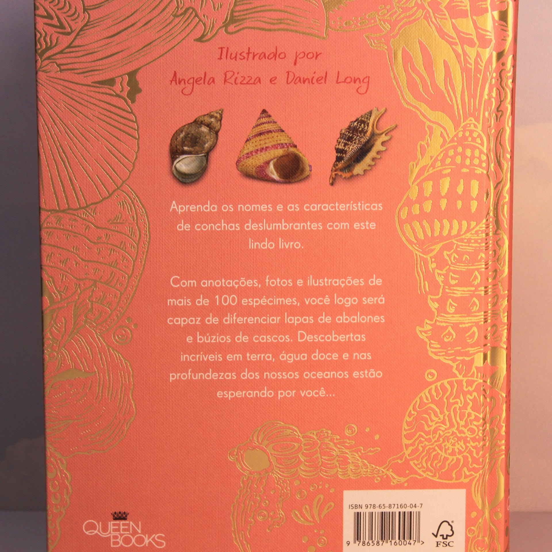 Livro Uma Antologia de Conchas
