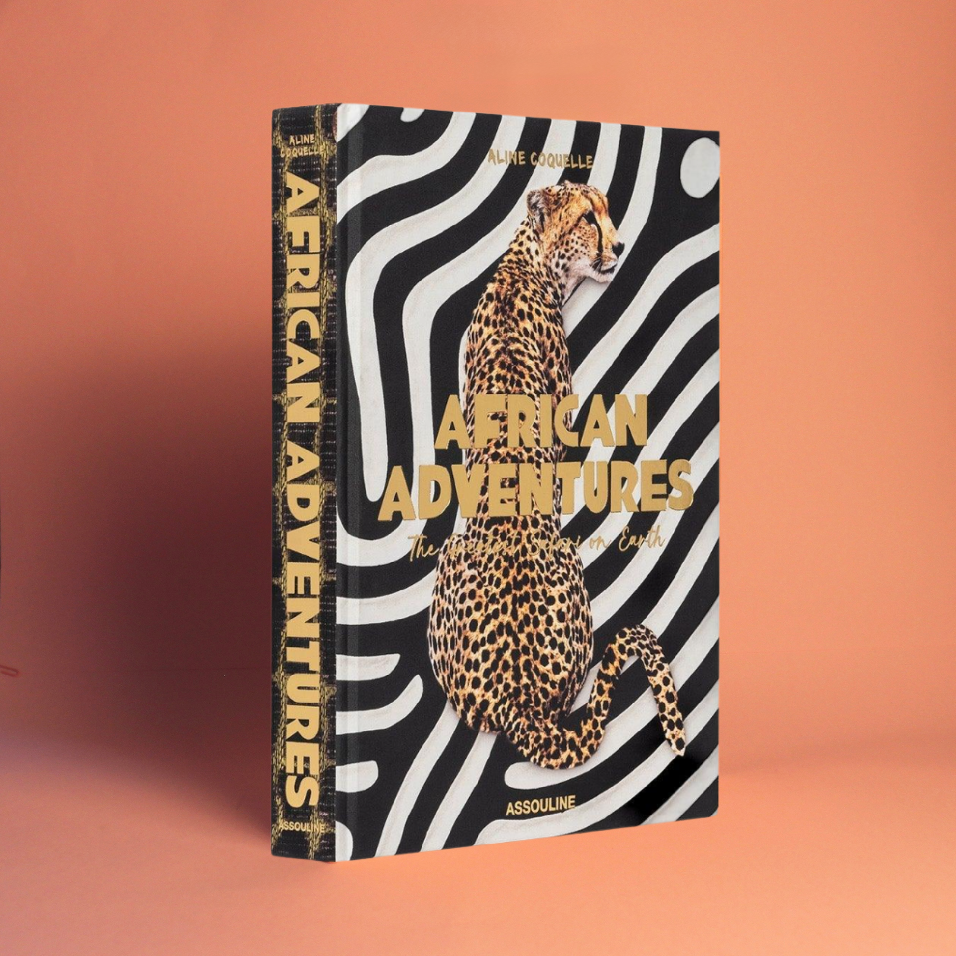 Livro African Adventures Assouline - Modern Mood