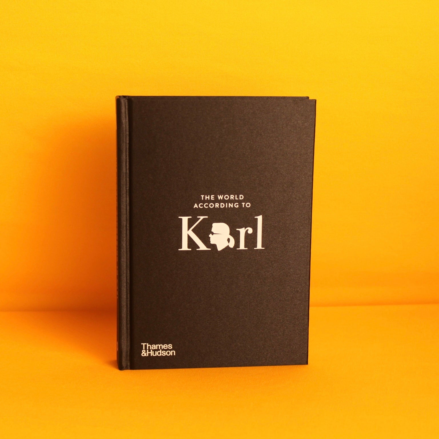 Livro The World According To Karl: The Wit And Wisdom Of Karl Lagerfeld Thames & Hudson - Modern Mood
