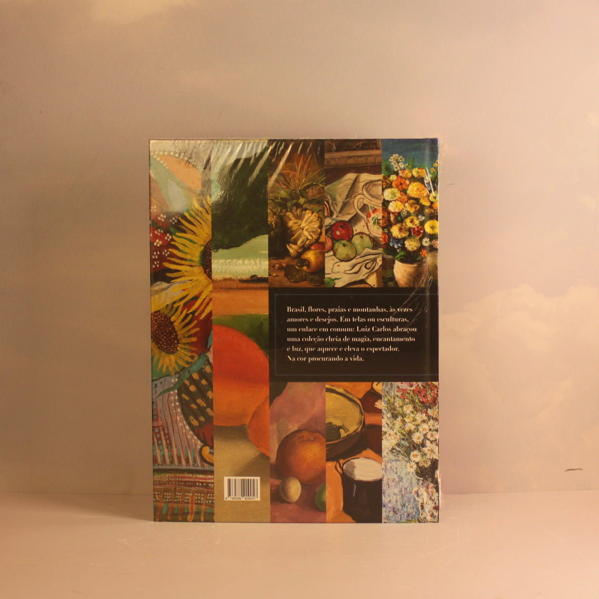 Livro Coleção Luiz Carlos Ritter Pinakotheke