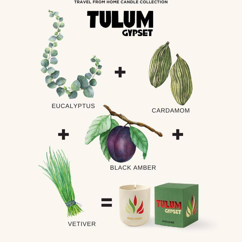 Livro Candle Tulum Gypset Travel From Home Assouline - imagem 5