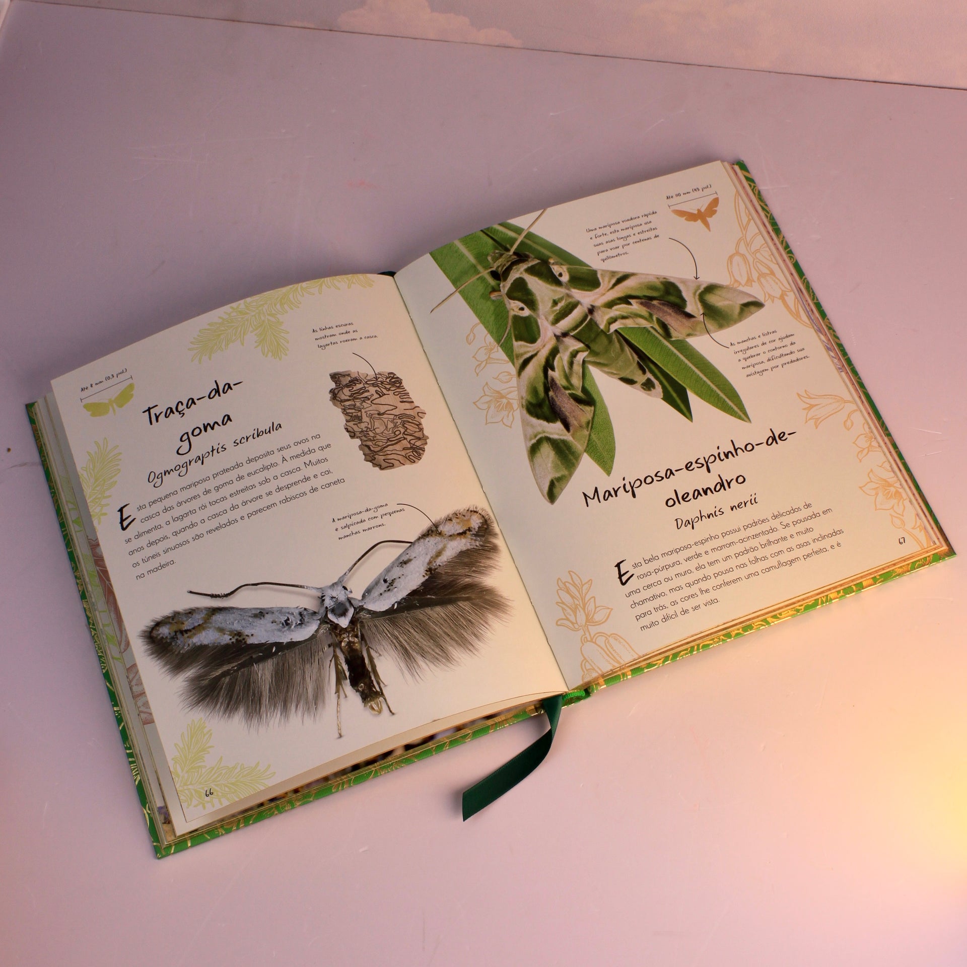 Livro Uma Antologia de Borboletas e Mariposas
