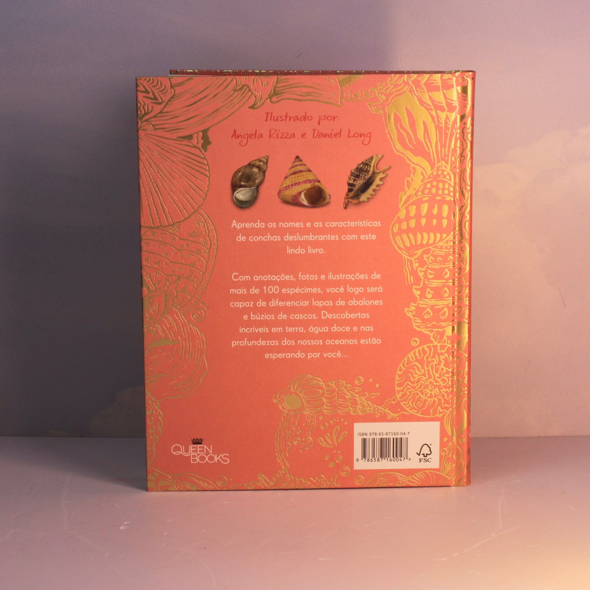 Livro Uma Antologia de Conchas