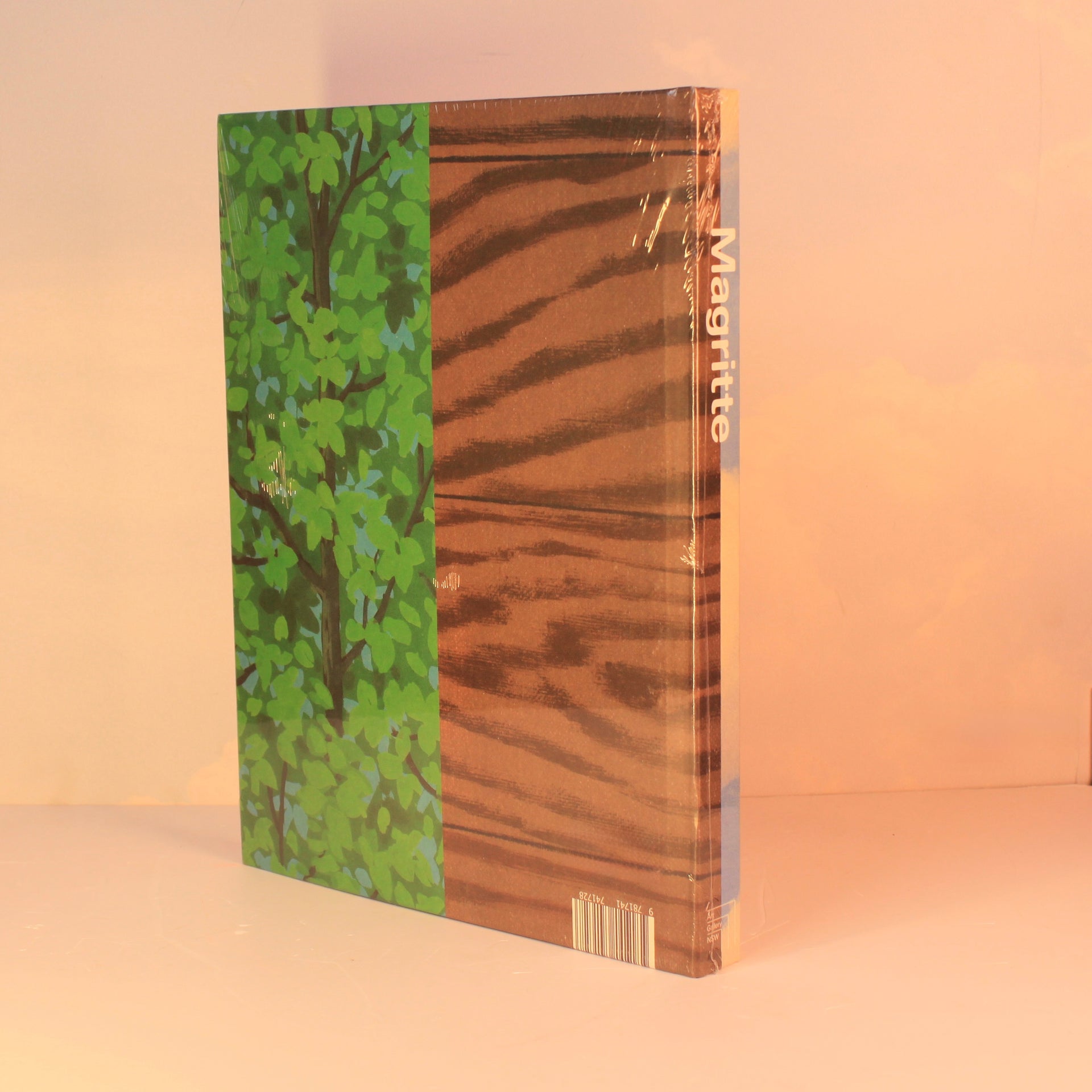 Livro Magritte – Hachette Book Group