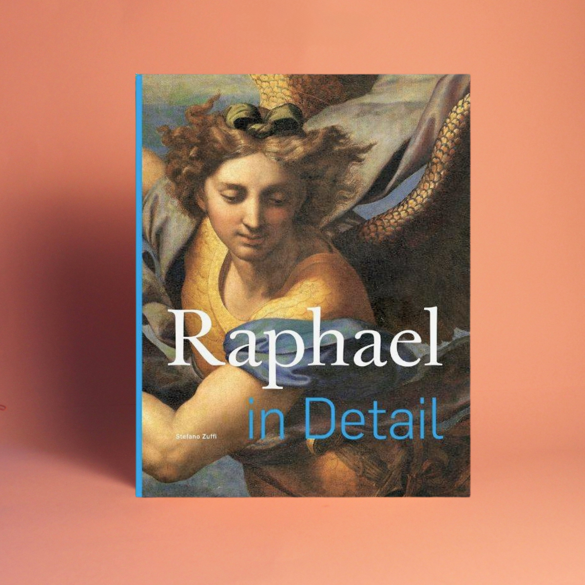 Livro Raphael in Detail Hachette em capa dura, coffee table book de arte renascentista - Modern Mood