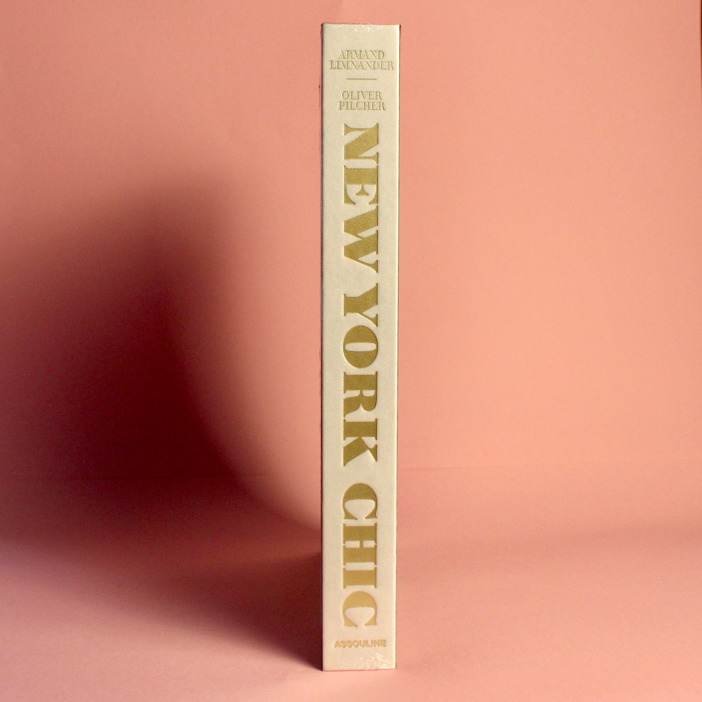 Livro New York Chic Assouline - Modern Mood