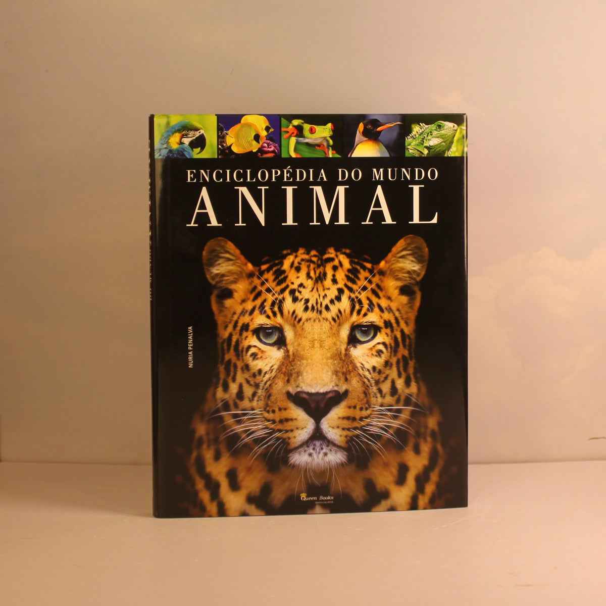 Livro Enciclopédia do Mundo Animal Queen Books