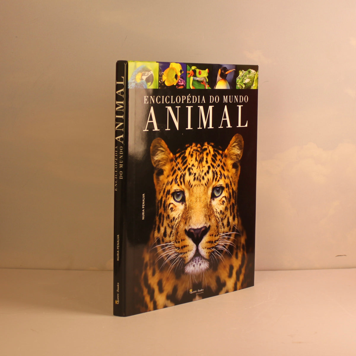 Livro Enciclopédia do Mundo Animal Queen Books