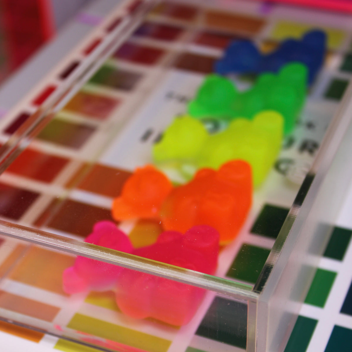 Gummy Display - Ursos no Acrilico Neon