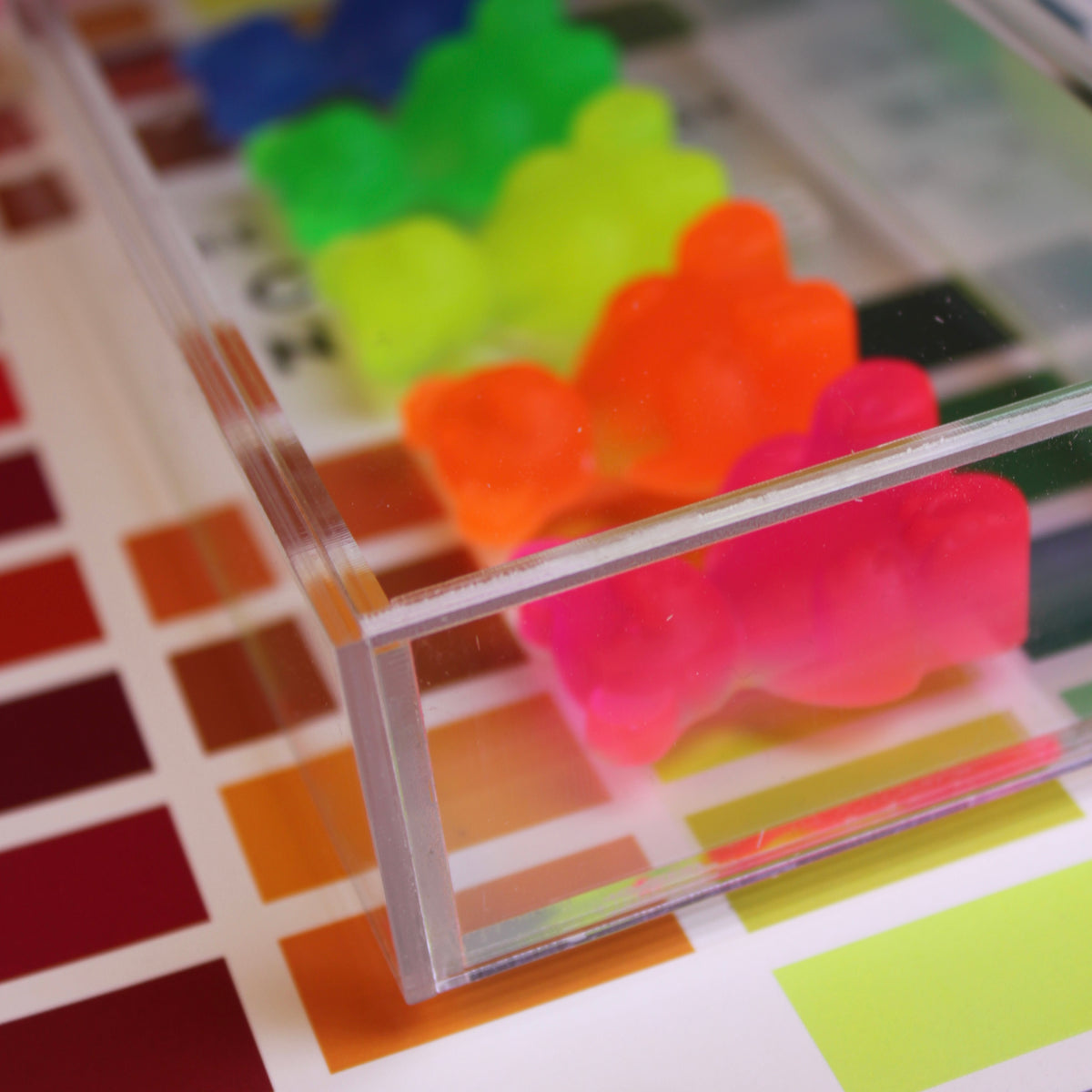 Gummy Display - Ursos no Acrilico Neon