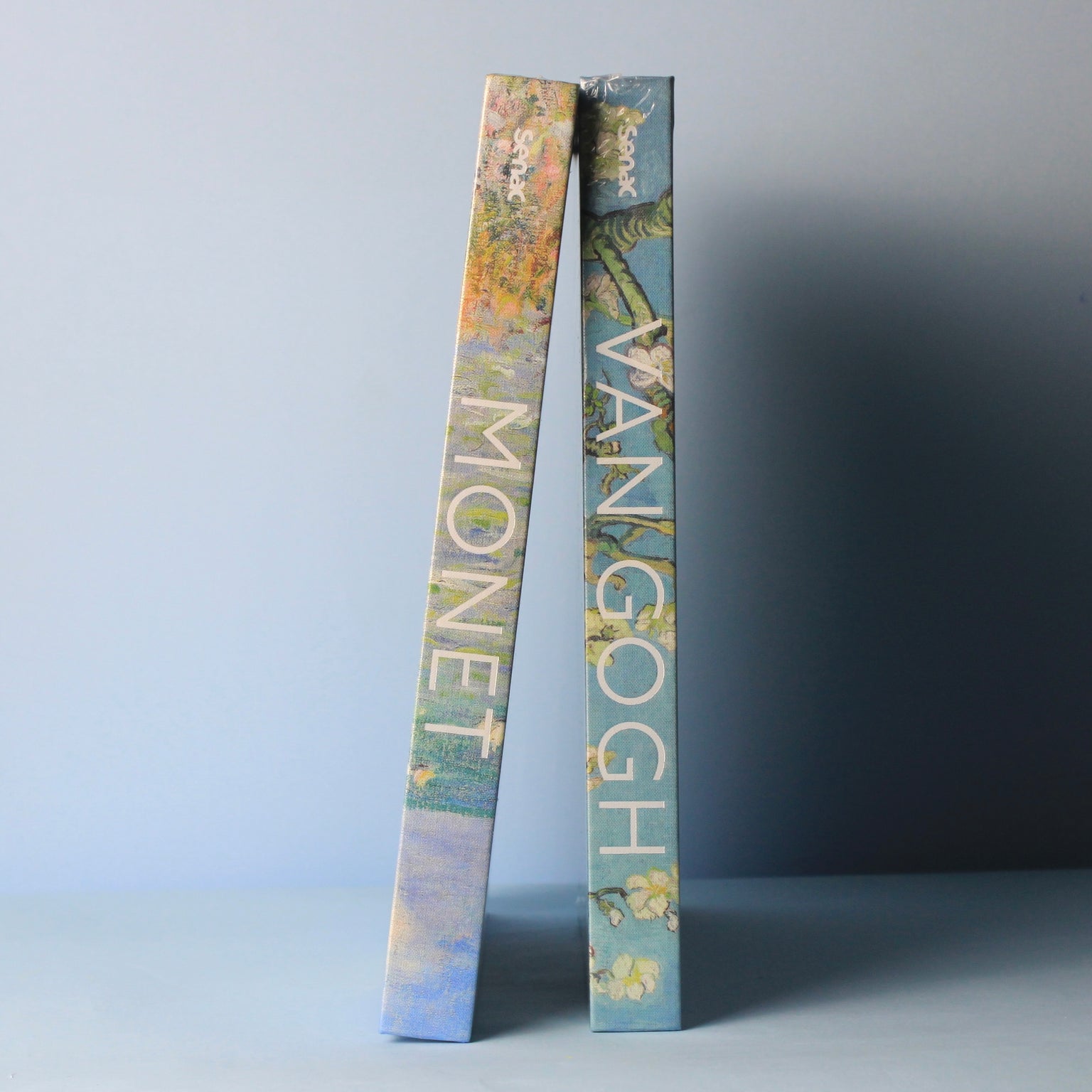 Livro Van Gogh - Modern Mood