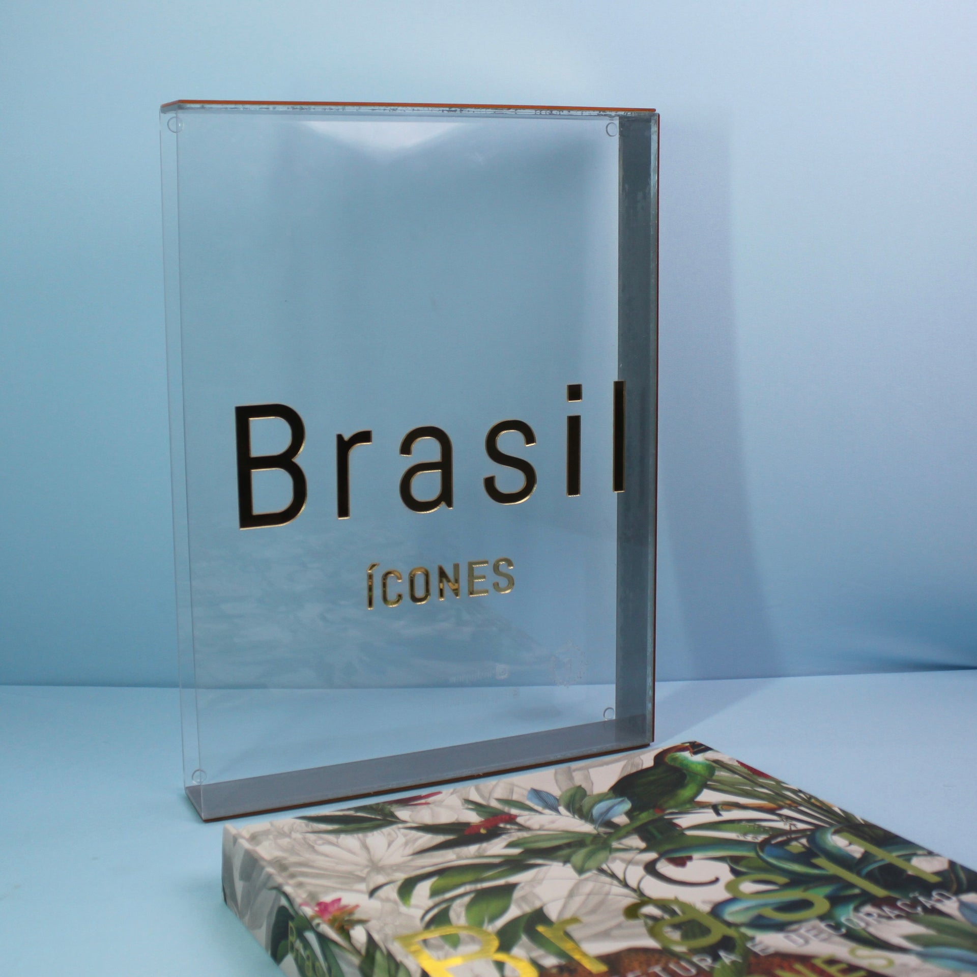 Livro Brasil Arquitetura e Decoração