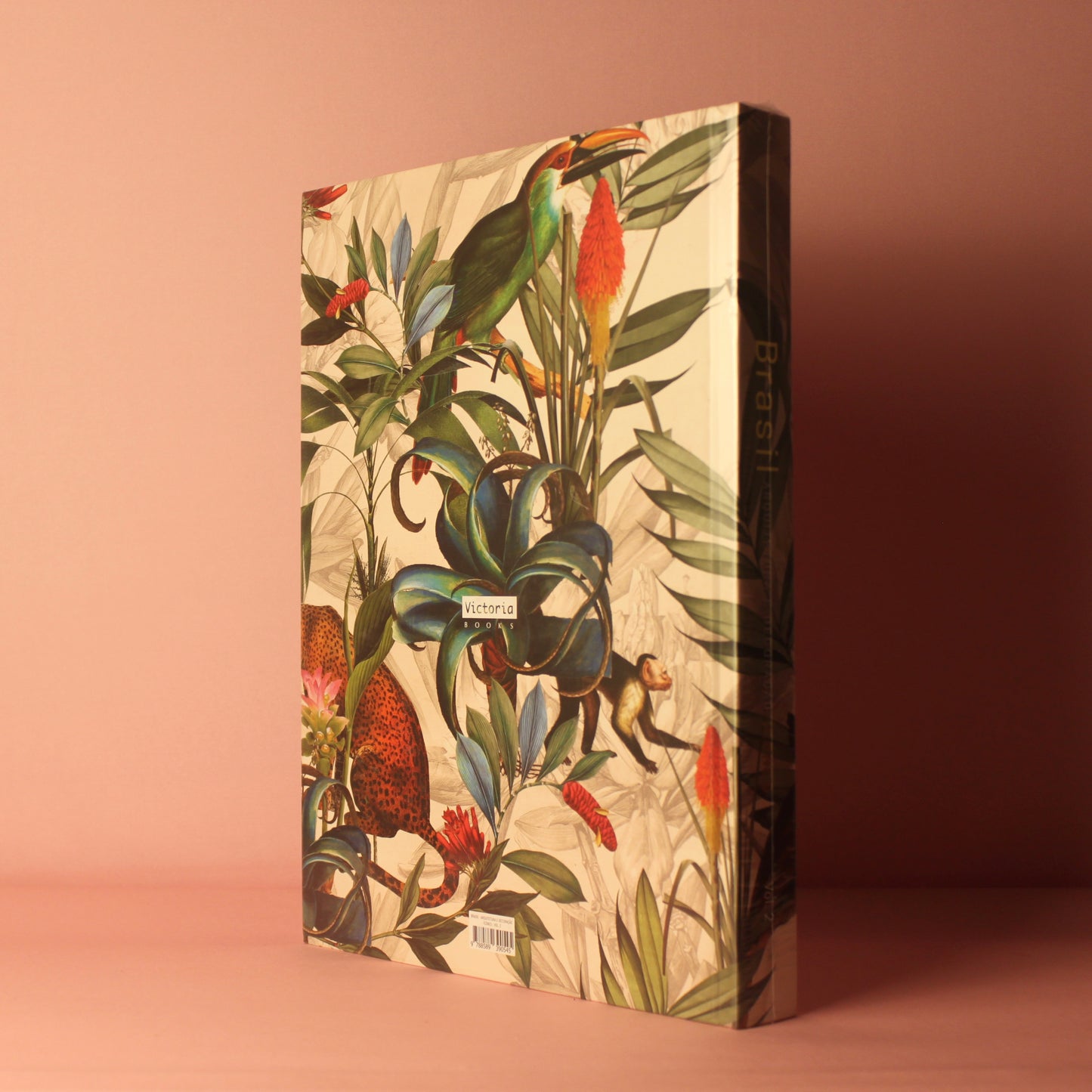 Livro Brasil Arquitetura e Decoração