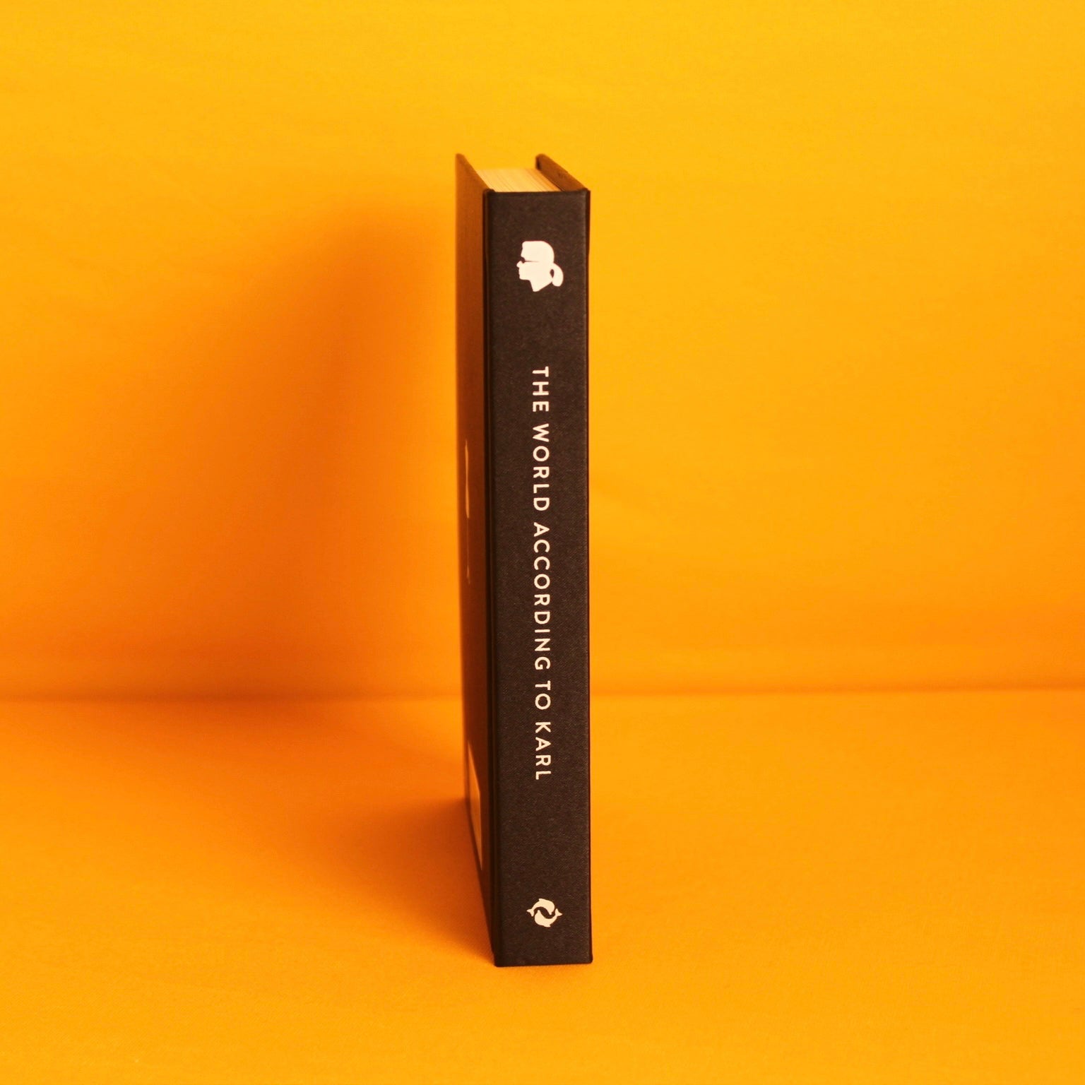 Livro The World According To Karl: The Wit And Wisdom Of Karl Lagerfeld Thames & Hudson - Modern Mood