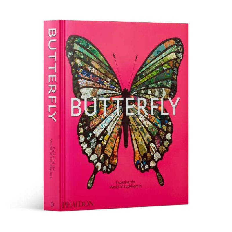 Livro Butterfly: Exploring The World Of Lepidoptera Hachette Book Group - Usa - imagem 2