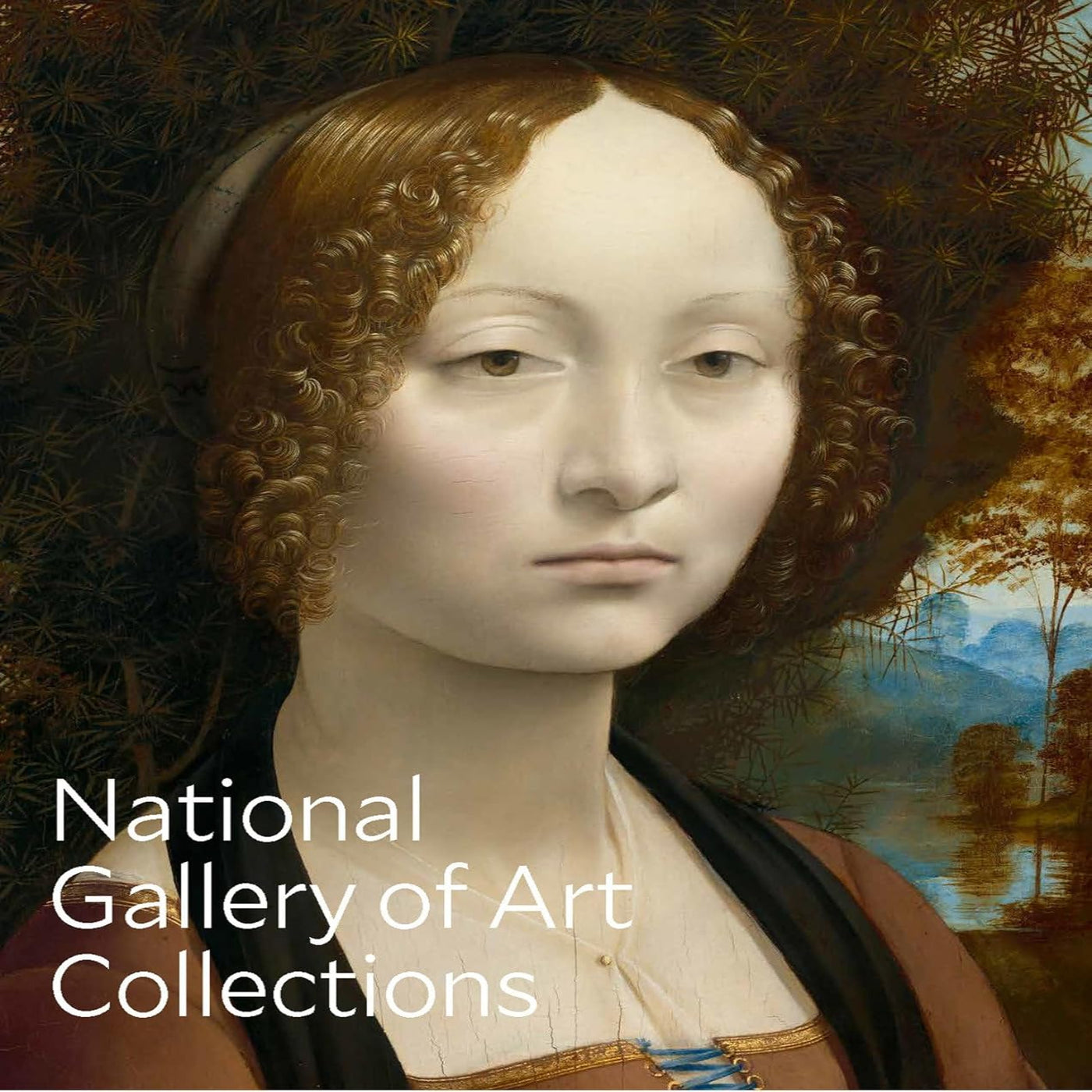 Livro National Gallery Of Art: Collections Rizzoli