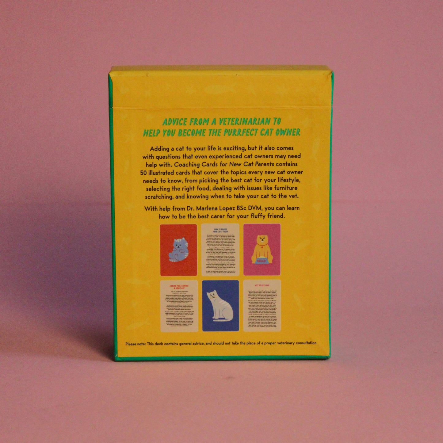 Livro Cartas for New Cat Parents - Para Novos Pais de Gatos - Modern Mood