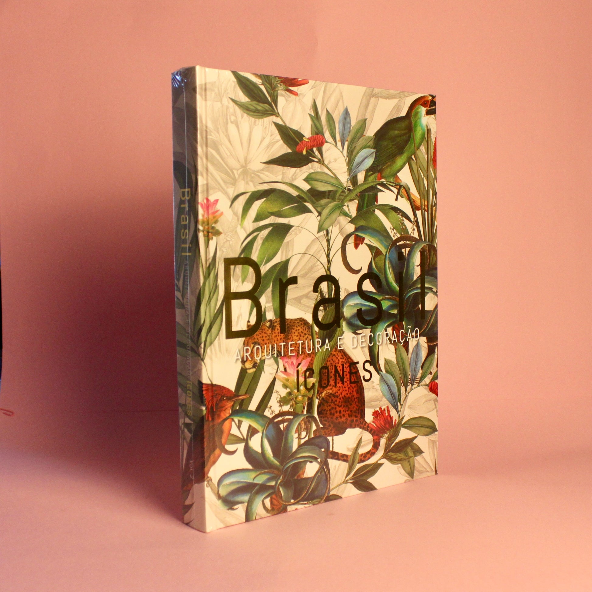 Livro Brasil Arquitetura e Decoração - Modern Mood