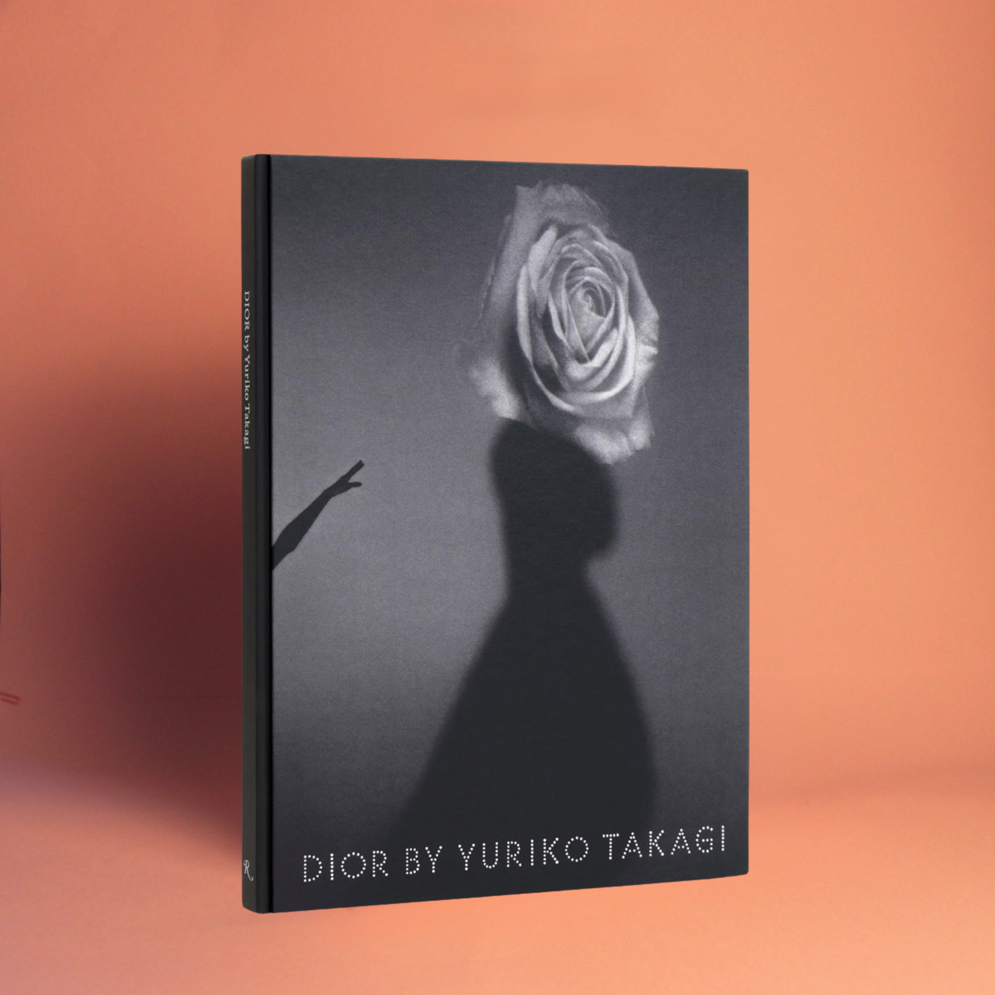 Livro Dior by Yuriko Takagi (Rizzoli) capa dura, coffee table book de luxo - Modern Mood