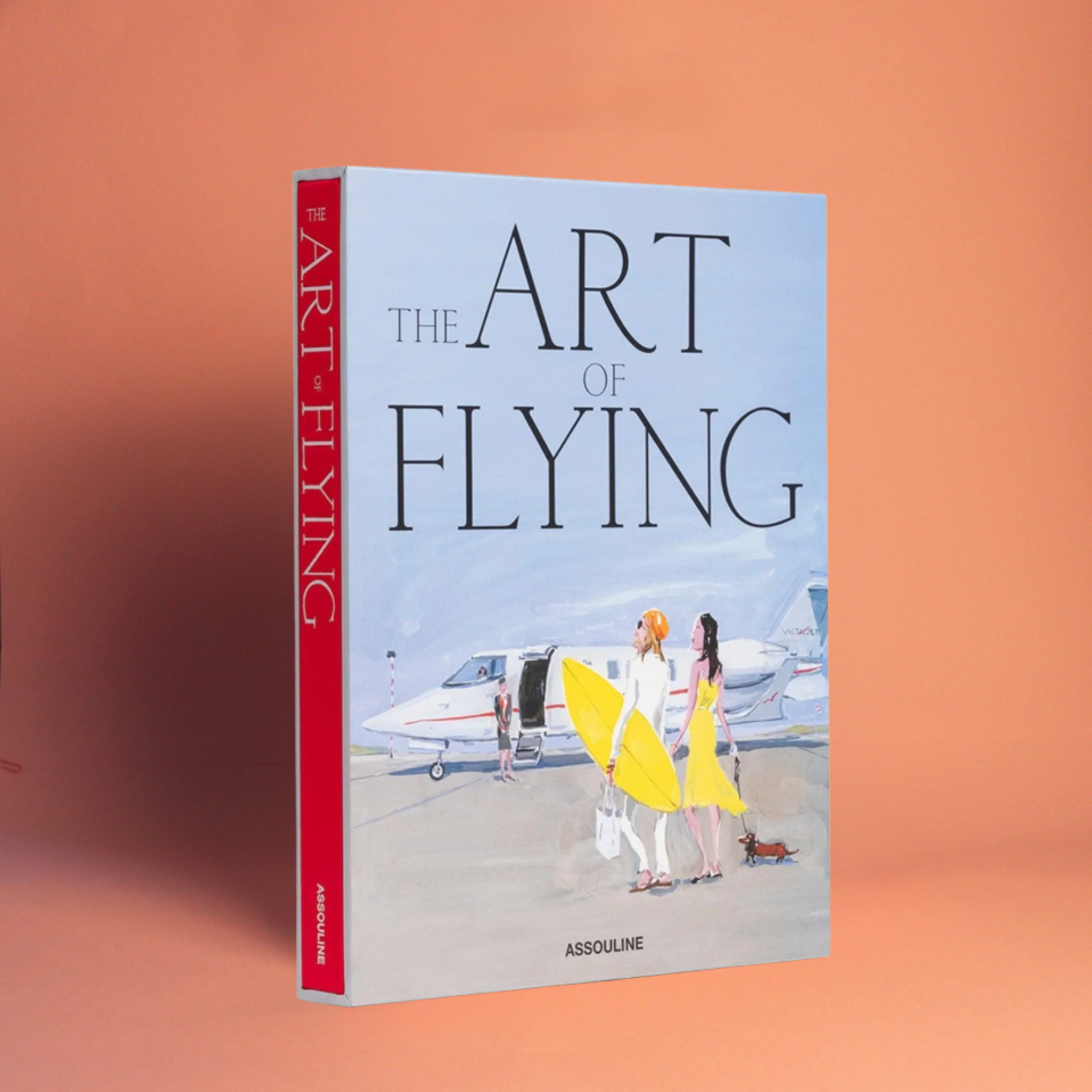 Livro Art of Flying da Assouline, coffee table book de luxo em capa dura para decoração - Modern Mood