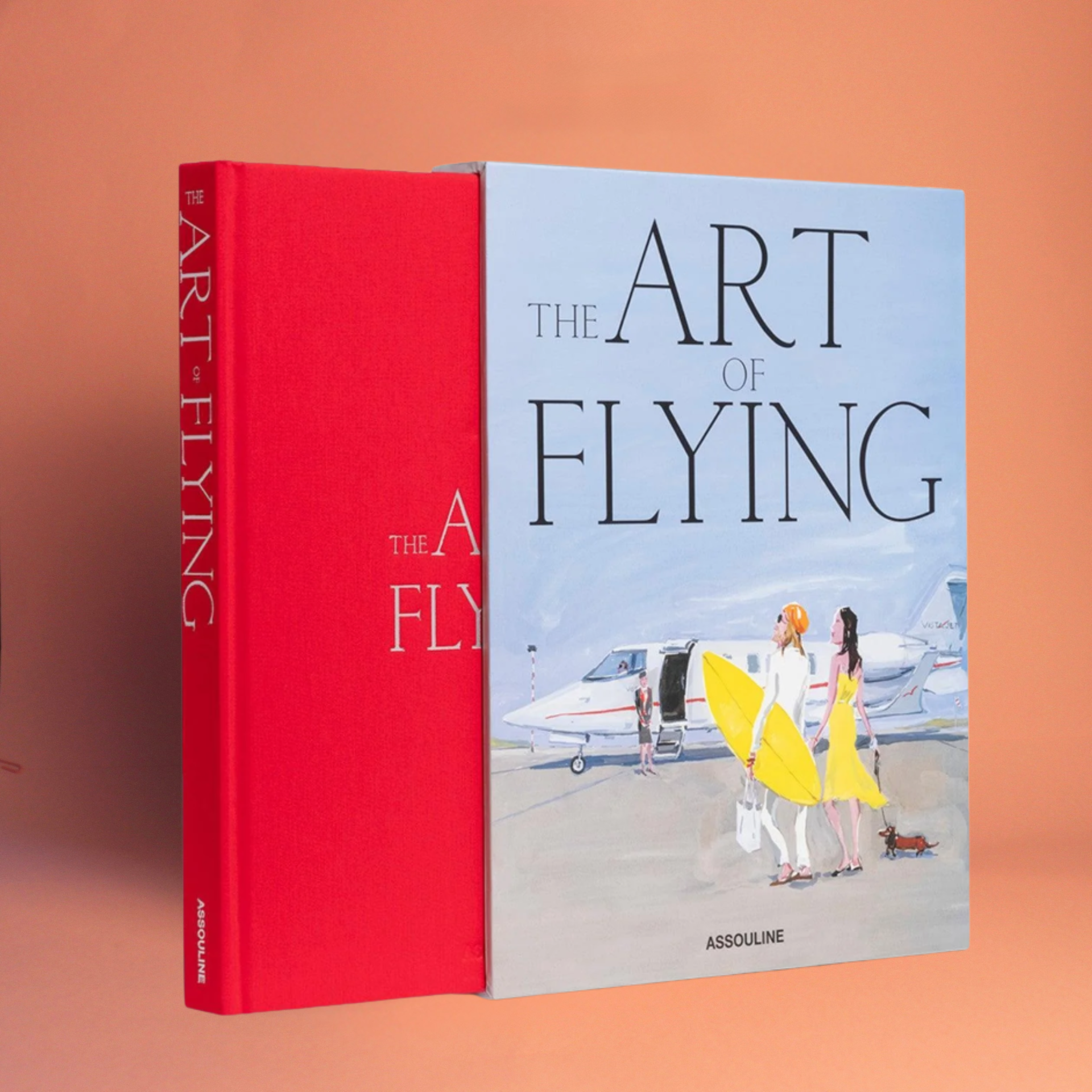 Livro Art of Flying Assouline - Modern Mood