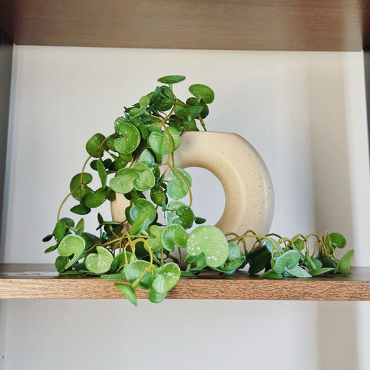 Vaso Circle