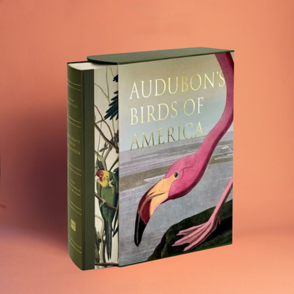 Livro Audubon's Birds of America Ingram