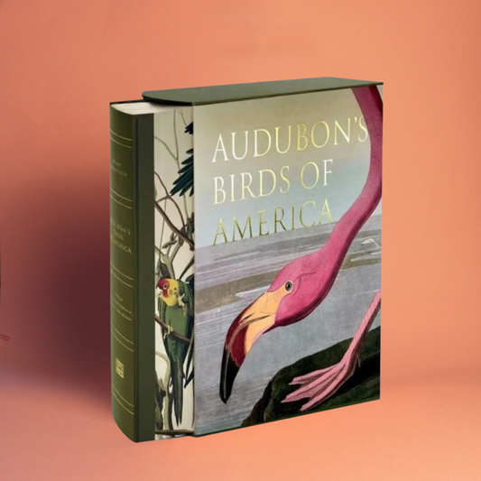 Livro Audubon's Birds of America Ingram