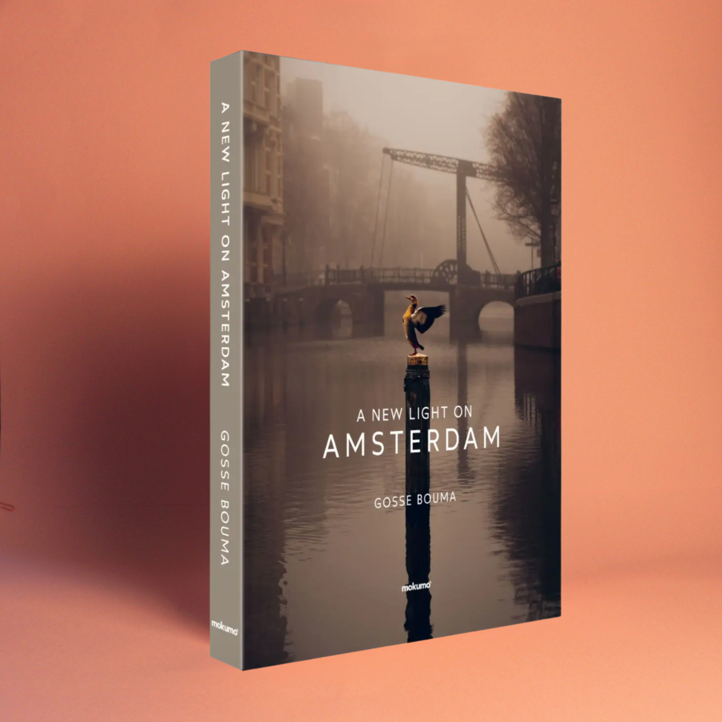 Livro A New Light on Amsterdam Lannoo Publishers