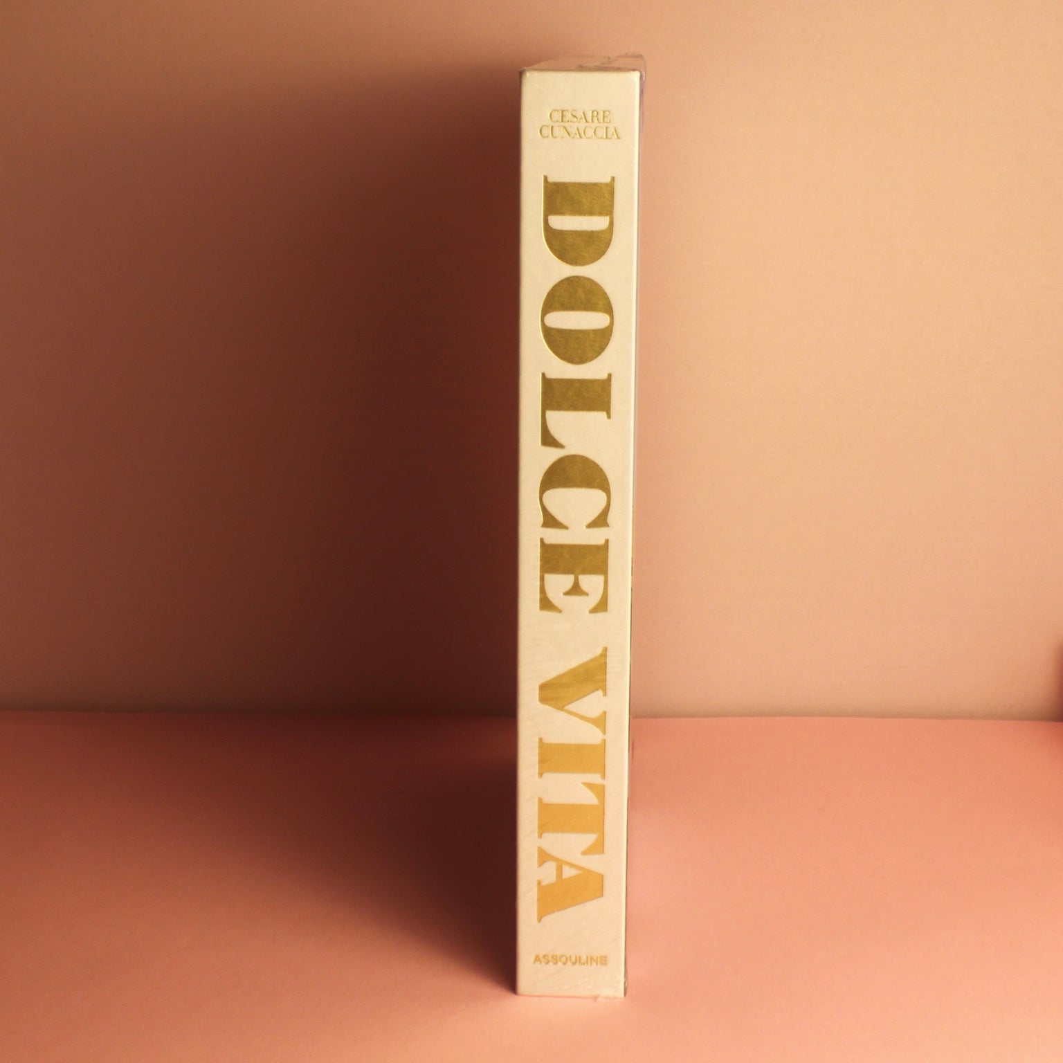 Livro Dolce Vita Assouline - Modern Mood