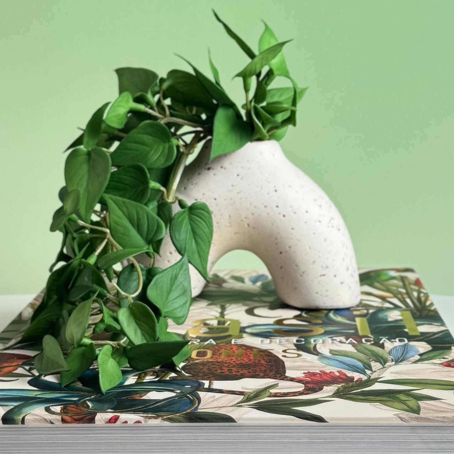 Vaso Curve - Modern Mood