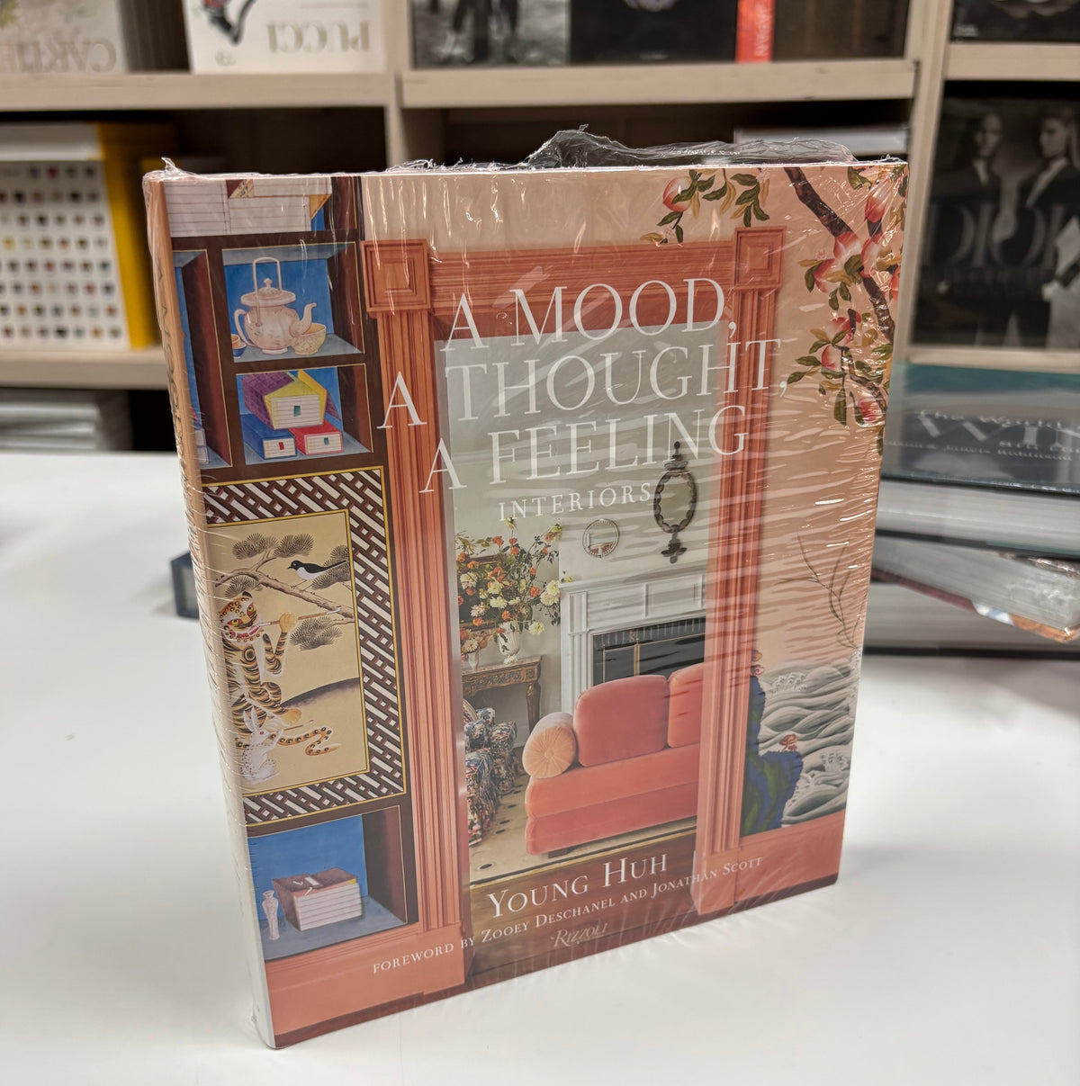 Livro A Mood, a Thought, a Feeling Rizzoli — imagem 4