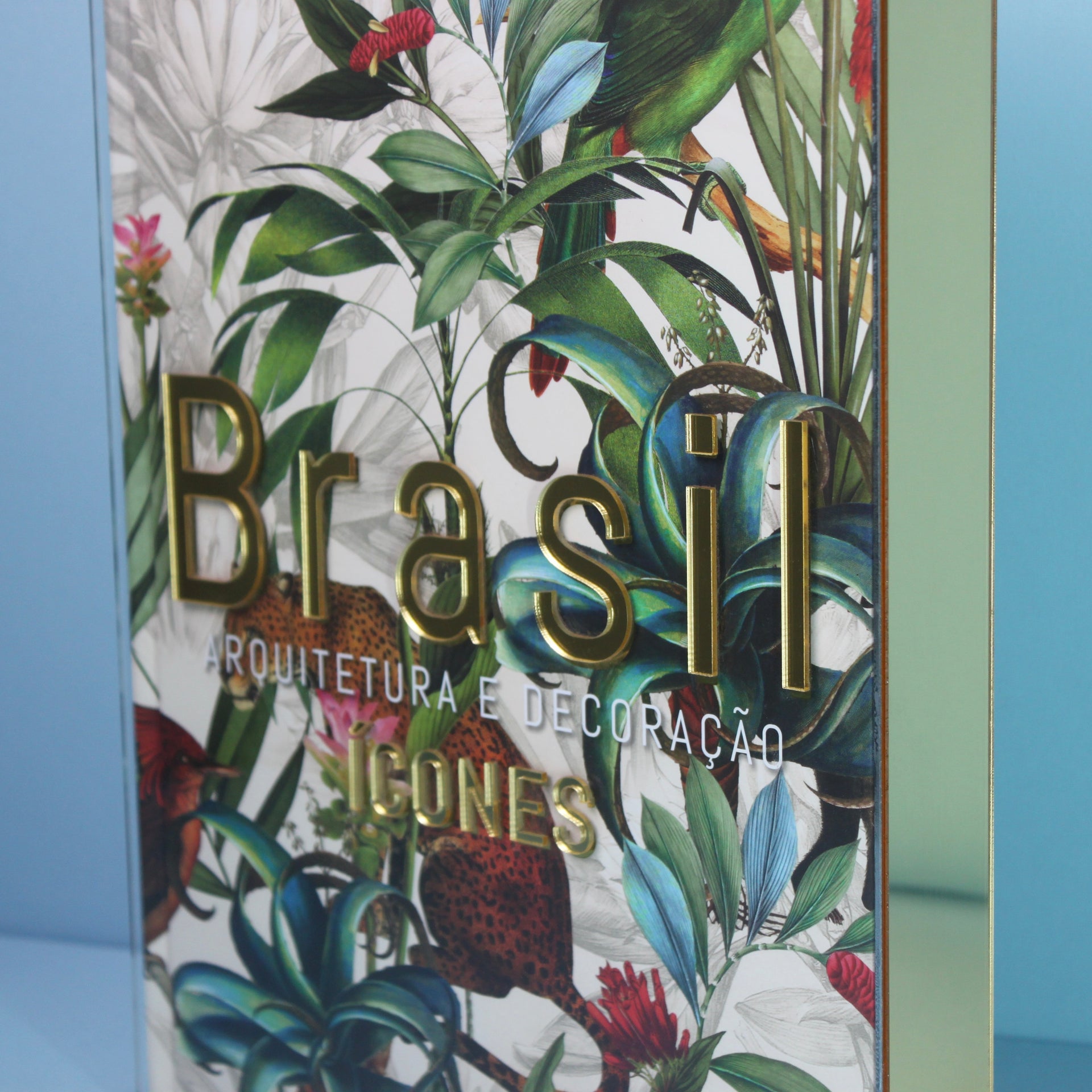 Livro Brasil Arquitetura e Decoração