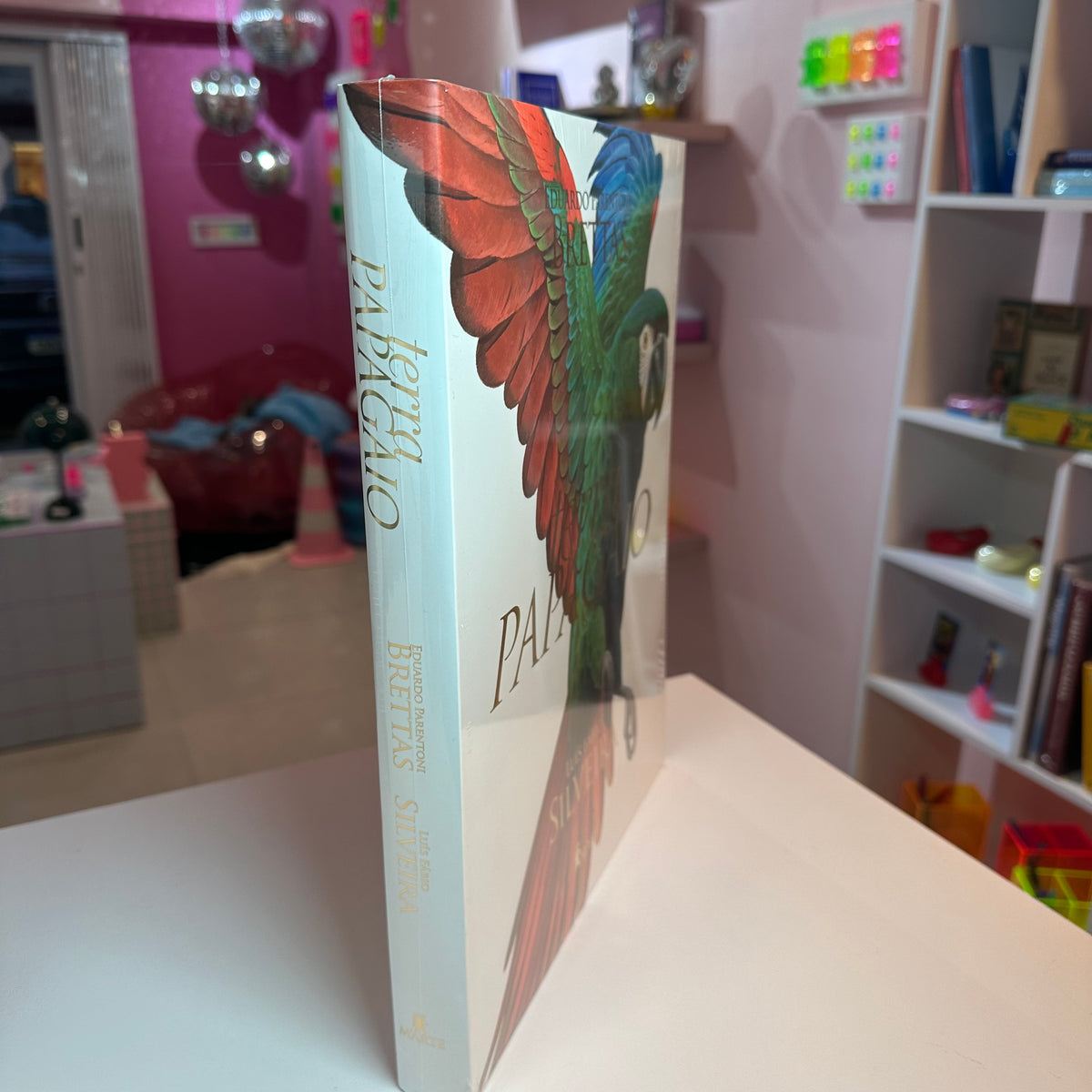 Livro Terra Papagaio