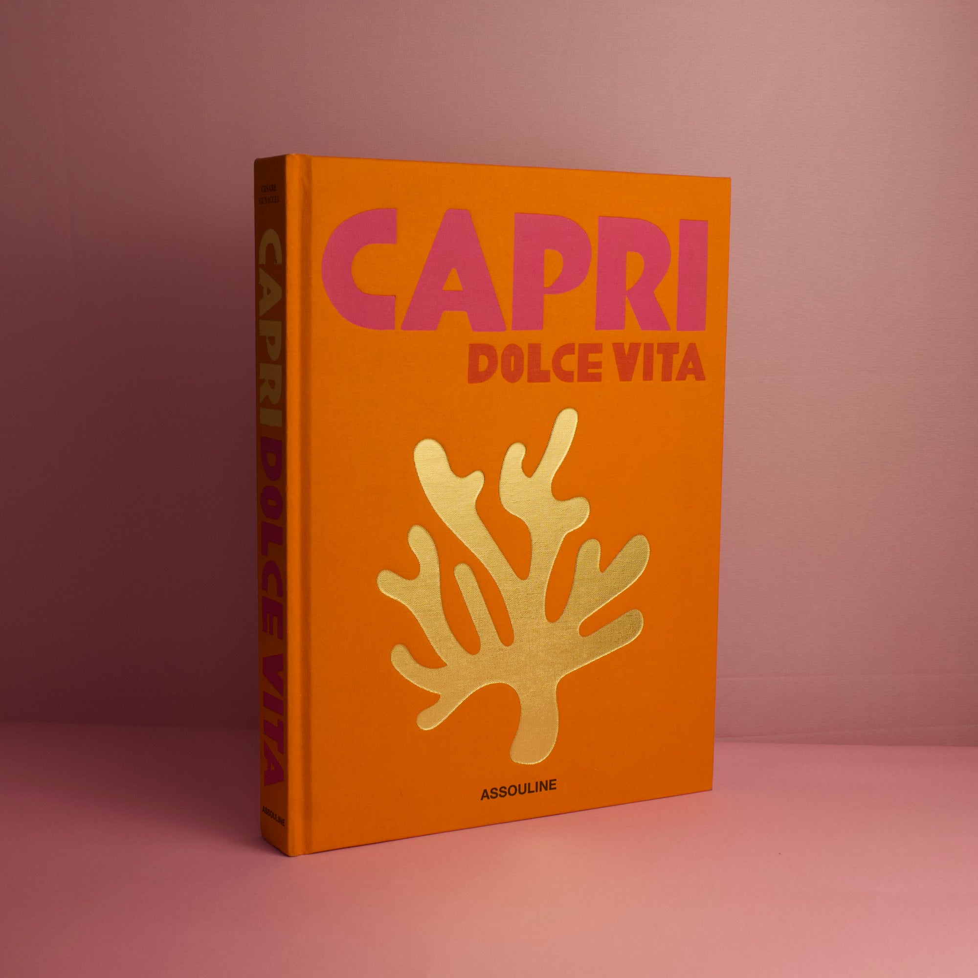 Livro Assouline Capri Dolce Vita - Modern Mood