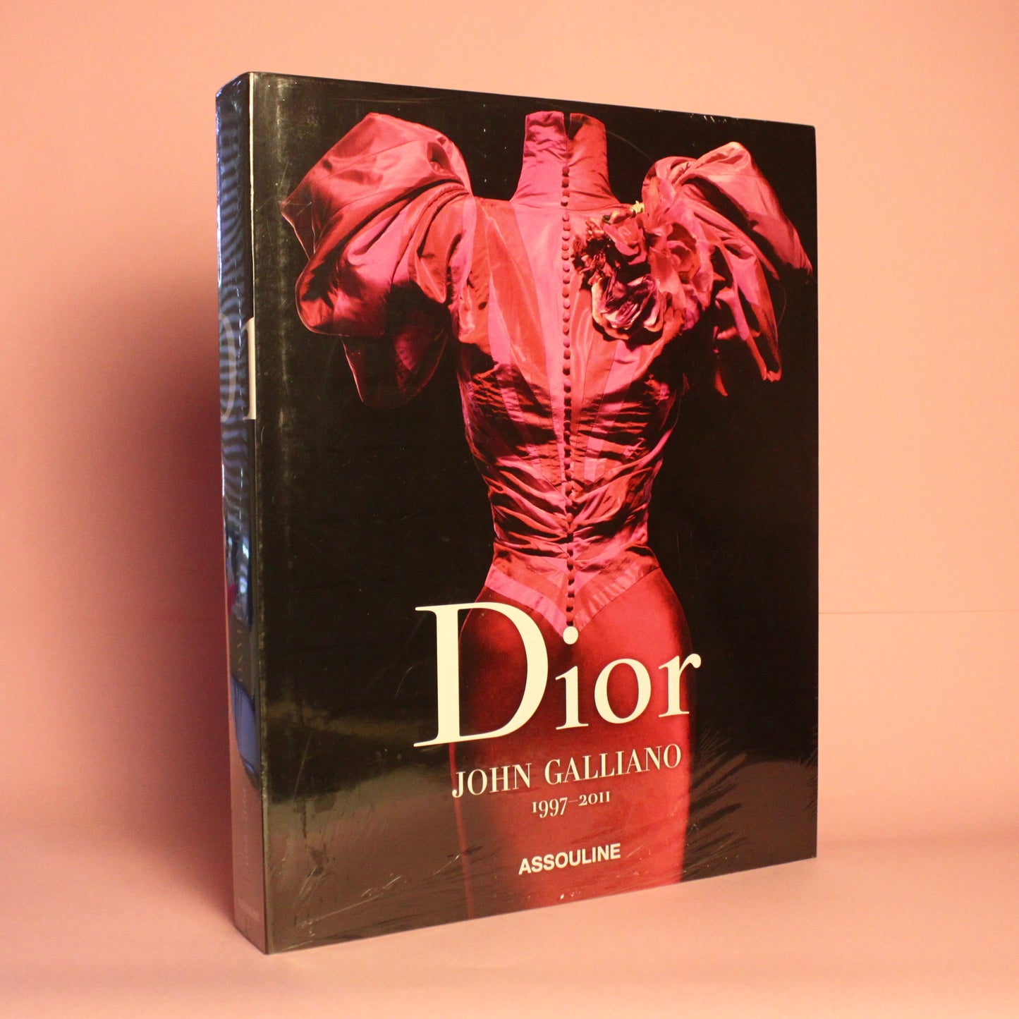 Livro Dior by John Galliano Assouline - Modern Mood
