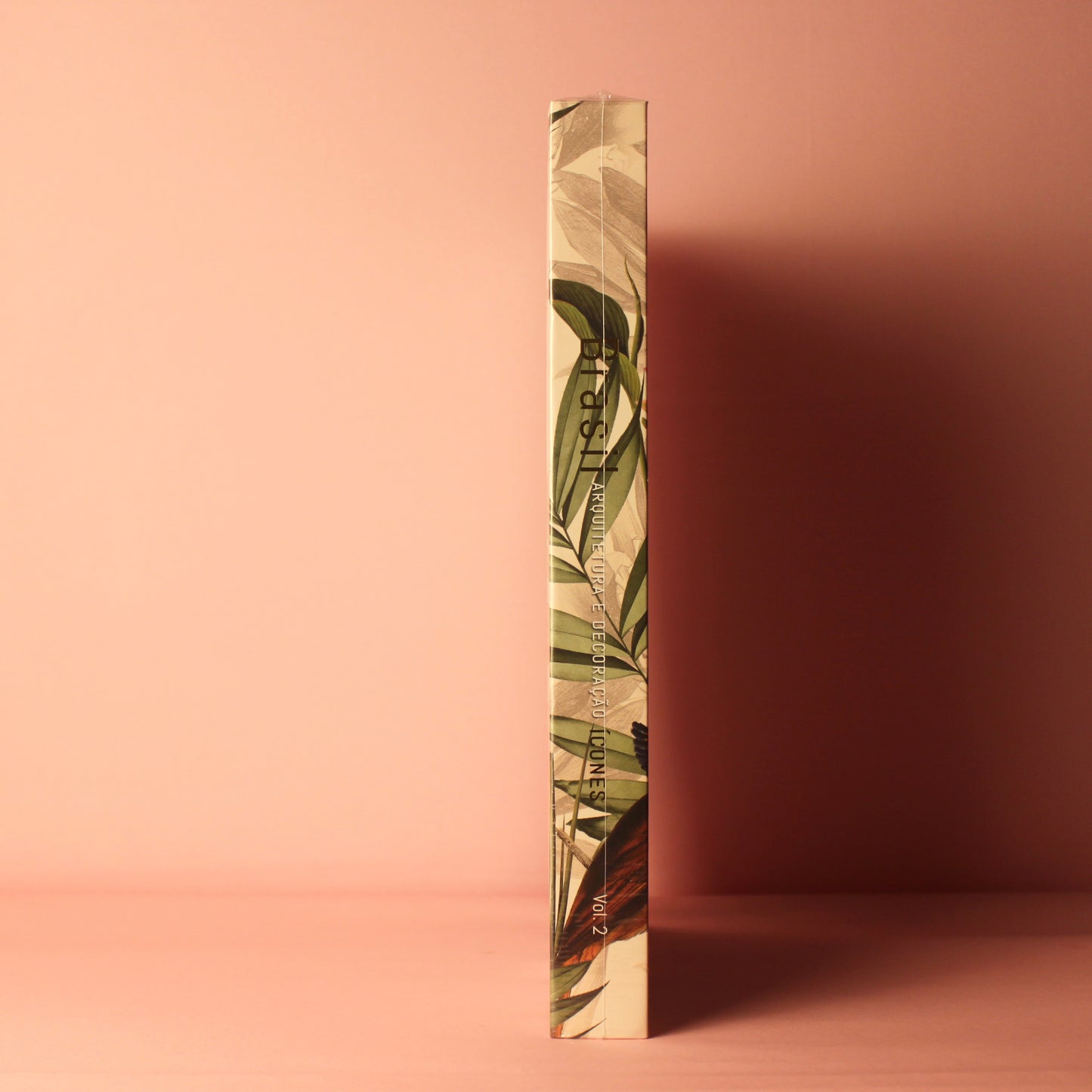 Livro Brasil Arquitetura e Decoração