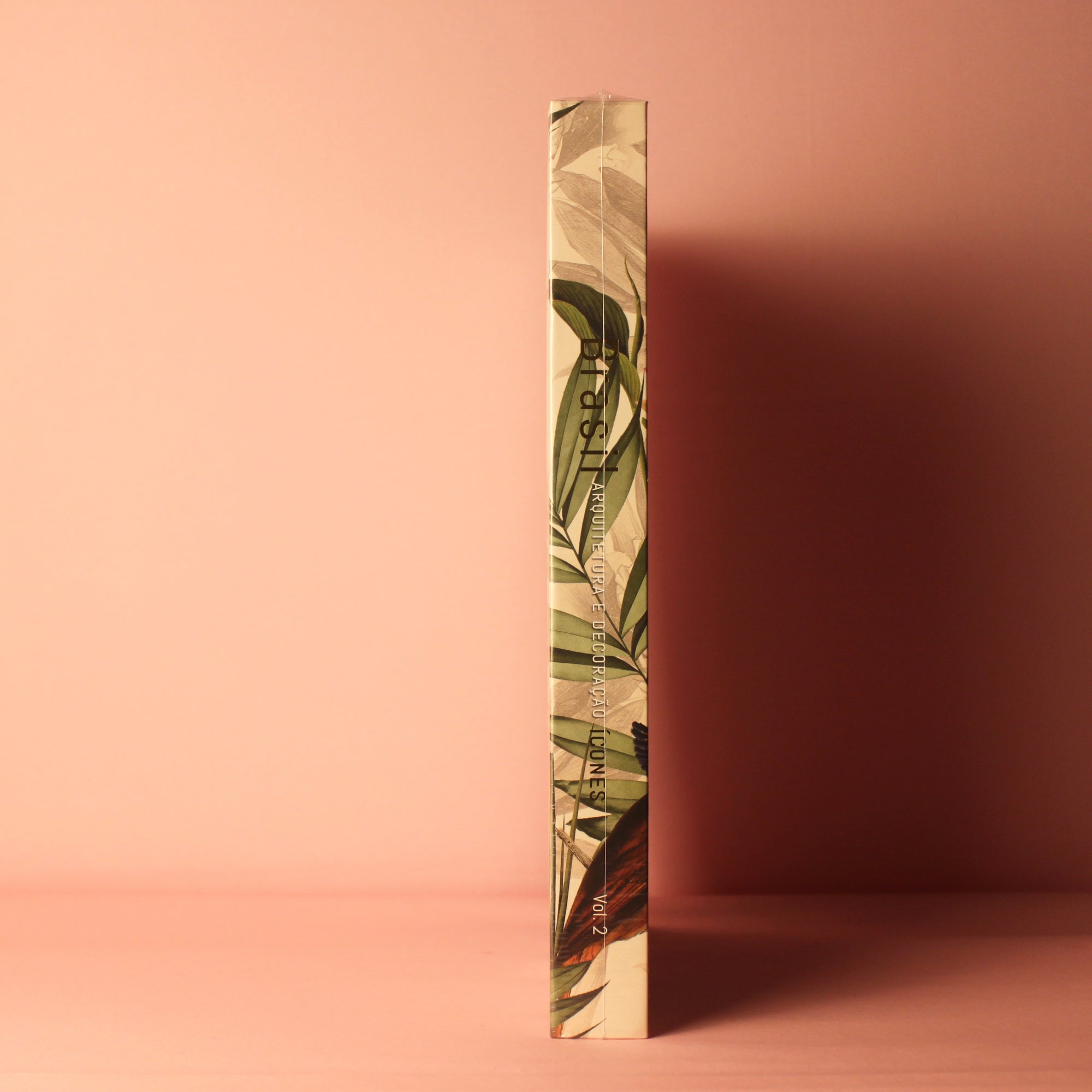 Livro Brasil Arquitetura e Decoração - Modern Mood