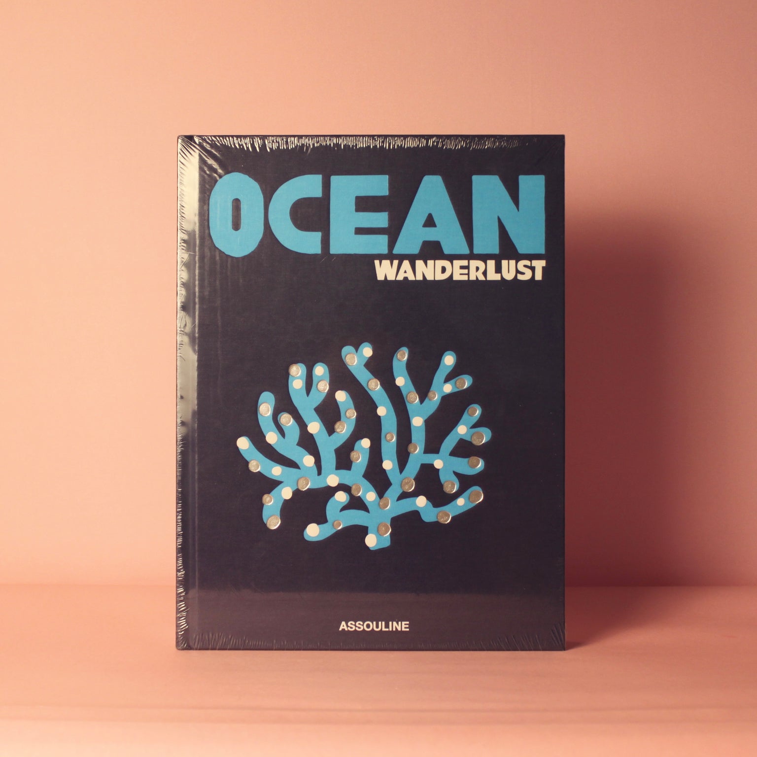 Livro Ocean Wanderlust Assouline em capa dura, coffee table book decorativo de luxo