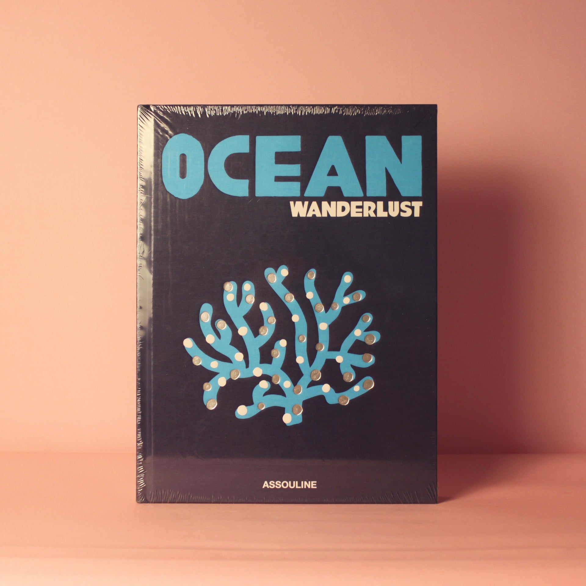 Livro Ocean Wanderlust Assouline em capa dura, coffee table book decorativo de luxo