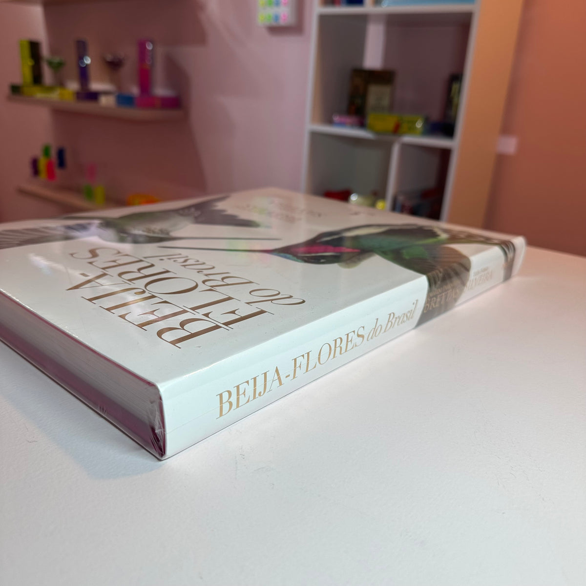 Livro Terra Papagaio