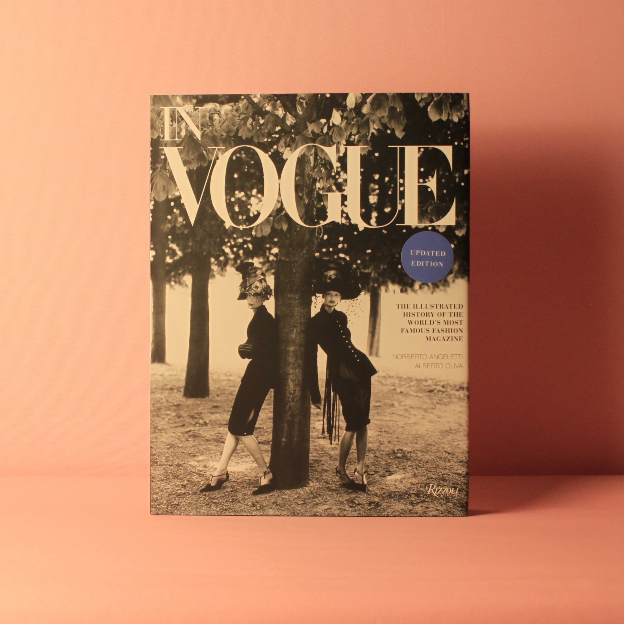 Livro In Vogue Rizzoli - Modern Mood